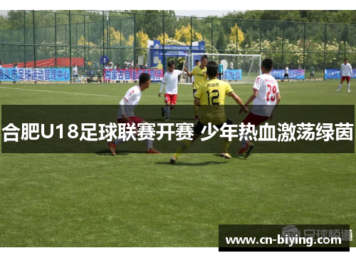 合肥U18足球联赛开赛 少年热血激荡绿茵