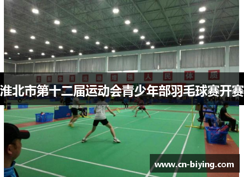 淮北市第十二届运动会青少年部羽毛球赛开赛