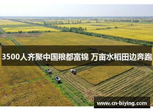 3500人齐聚中国粮都富锦 万亩水稻田边奔跑